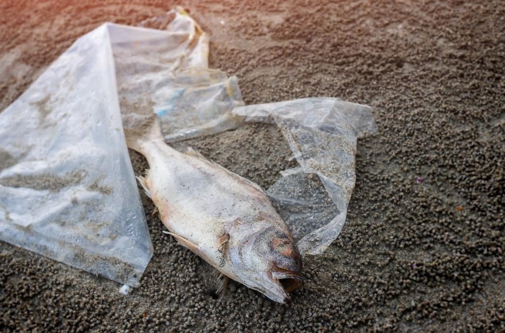 bahaya sampah plastik bagi lingkungan