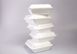 Bahaya Styrofoam bagi Kesehatan dan Lingkungan