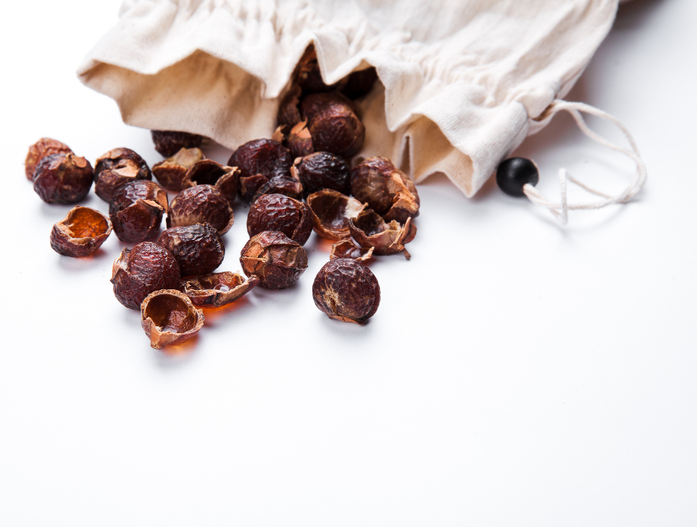 manfaat sabun lerak merupakan salah satu alternatif pembersih ramah lingkungan dan lebih sehat